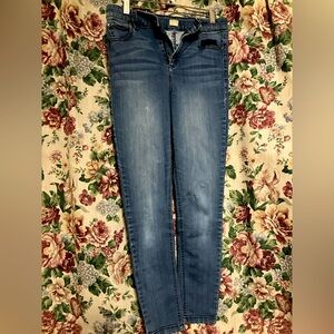 True Craft Blue Skinny Jeans